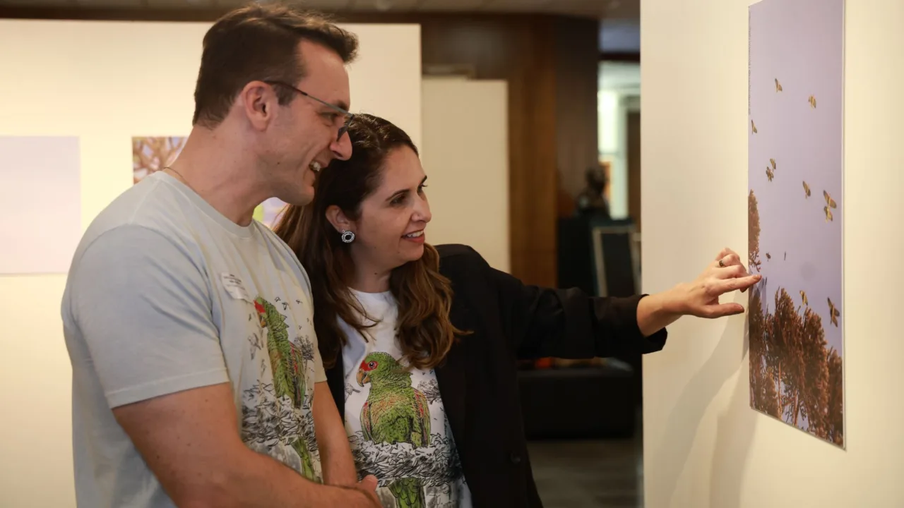 Exposição antecipa Festival dos Papagaios em Urupema .| Foto: Daniel Conzi/Agência Alesc