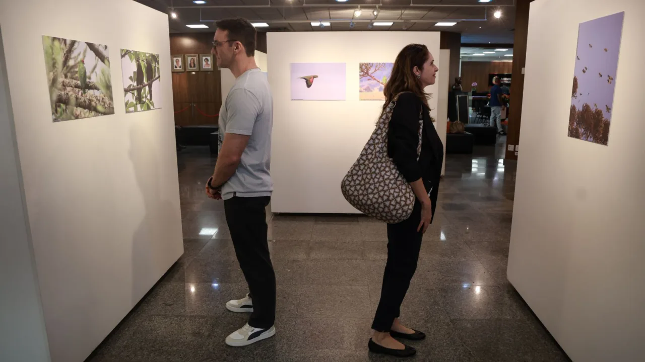 Exposição antecipa Festival dos Papagaios em Urupema