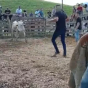 Polícia indicia 40 pessoas por esquema de Farra do Boi em SC.| Foto: Reprodução/PCSC / Divulgação 