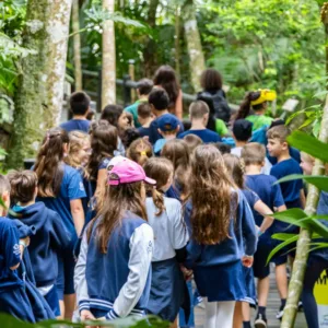 Projeto leva alunos à Mata Atlântica em SC; saiba como participar