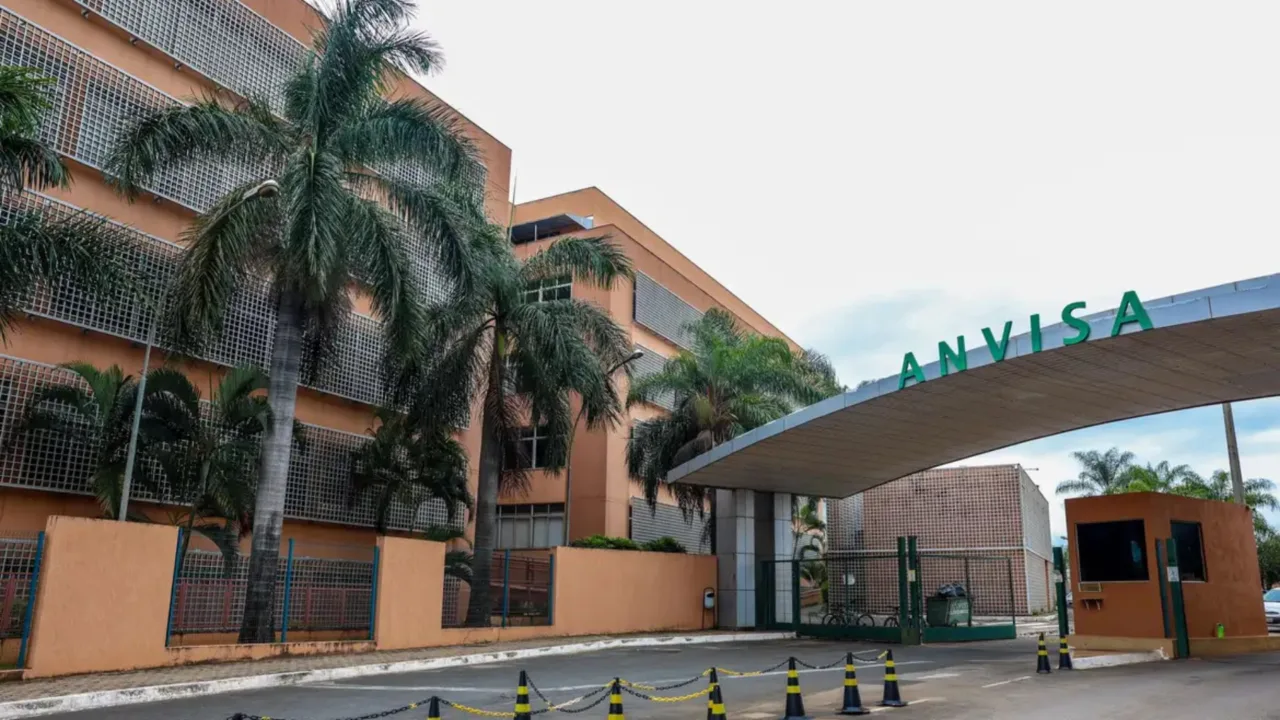 Suplementos de cúrcuma entram na mira da Anvisa por risco ao fígado