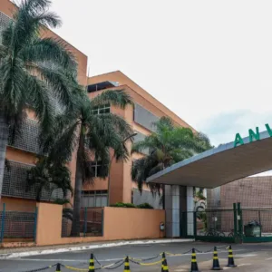 Suplementos de cúrcuma entram na mira da Anvisa por risco ao fígado