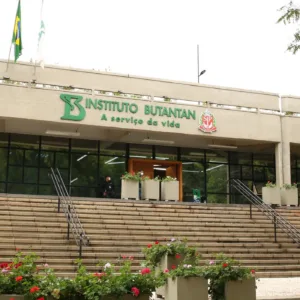 Butantan produzirá remédio contra câncer no SUS | Foto: Rovena Rosa/Agência Brasil