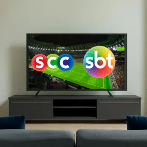 77% dos brasileiros vão assistir a Copa do Mundo pela TV aberta, afirma ACAERT