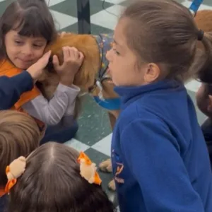 Abril Laranja Ações educativas em Lages focam na causa animal