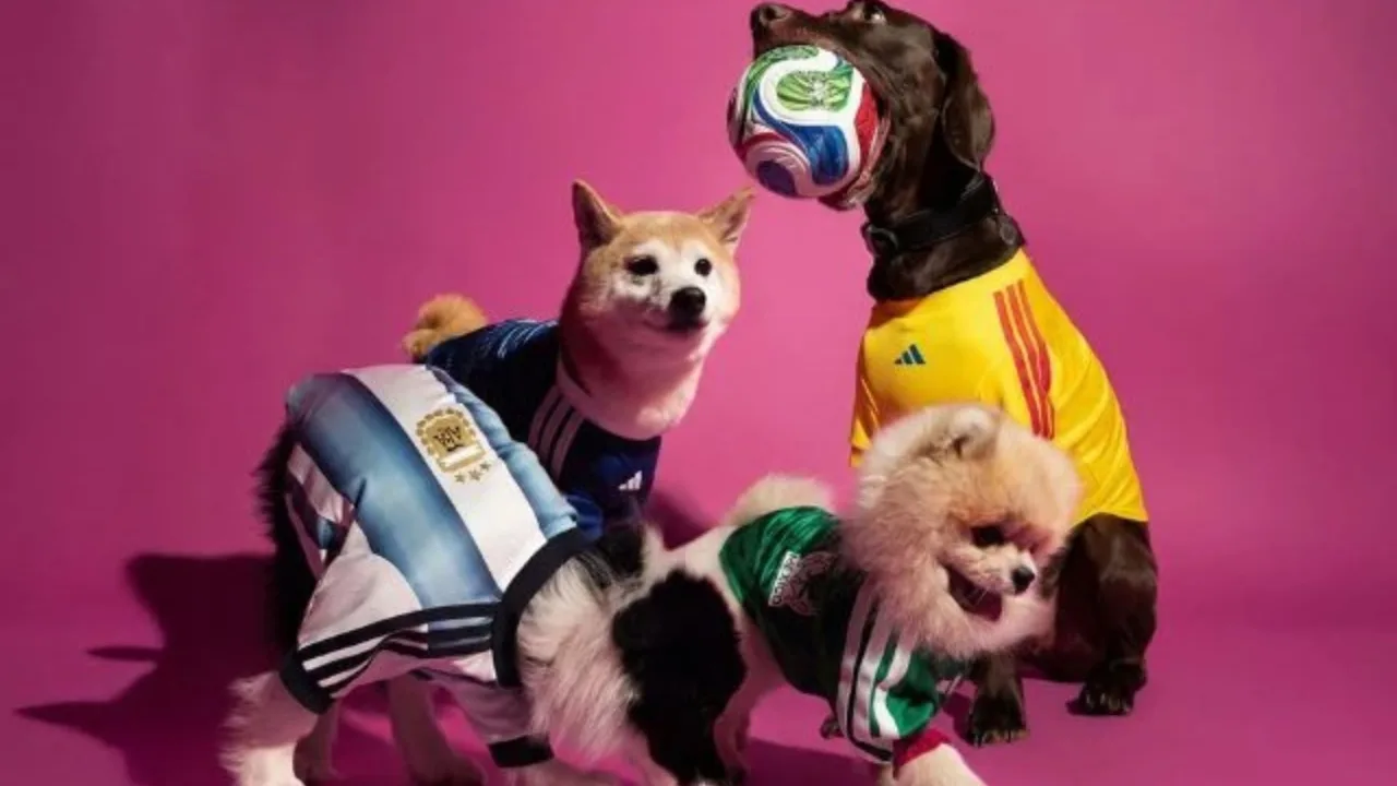 Adidas lança camisas da Copa do Mundo de 2026 para cães