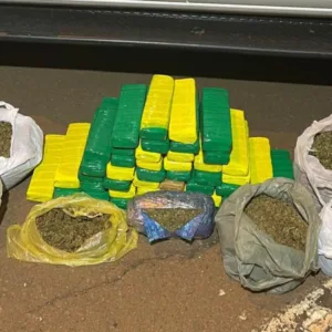 Adolescente de 15 anos é flagrada com 42 kg de maconha em ônibus em SC