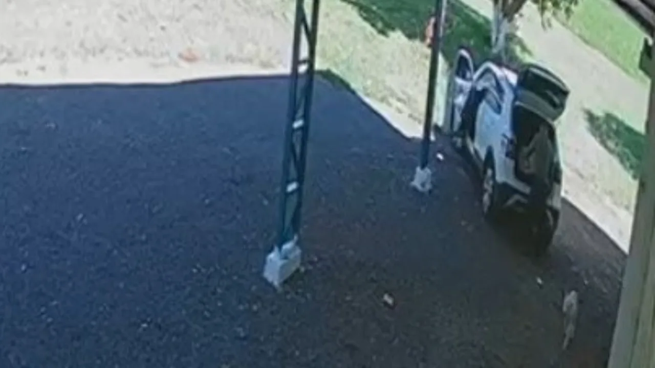 Após concluir inquérito, PC indicia homem por maus-tratos em SC