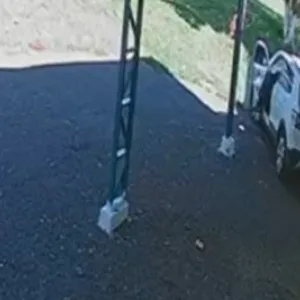 Após concluir inquérito, PC indicia homem por maus-tratos em SC | Foto: Canal Ideal | Reprodução