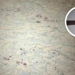 Briga em bar deixa 4 feridos em Campo Erê