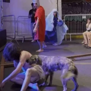 Cachorrinha invade palco e “protege” Jesus durante encenação da Paixão de Cristo