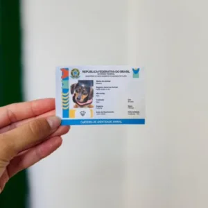 Cadastro gratuito no SinPatinhas ajuda tutores de Itapema a localizar pets