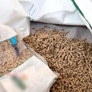 Projeto busca dar nome de Vaccaro ao Autódromo de Chapecó