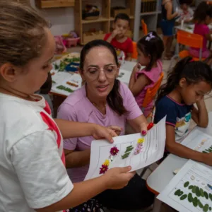 Chapecó lidera Saúde e Educação em ranking do TCE-SC