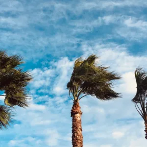 Chuva forte e ventos de até 100 km/h colocam cidades de SC em alerta