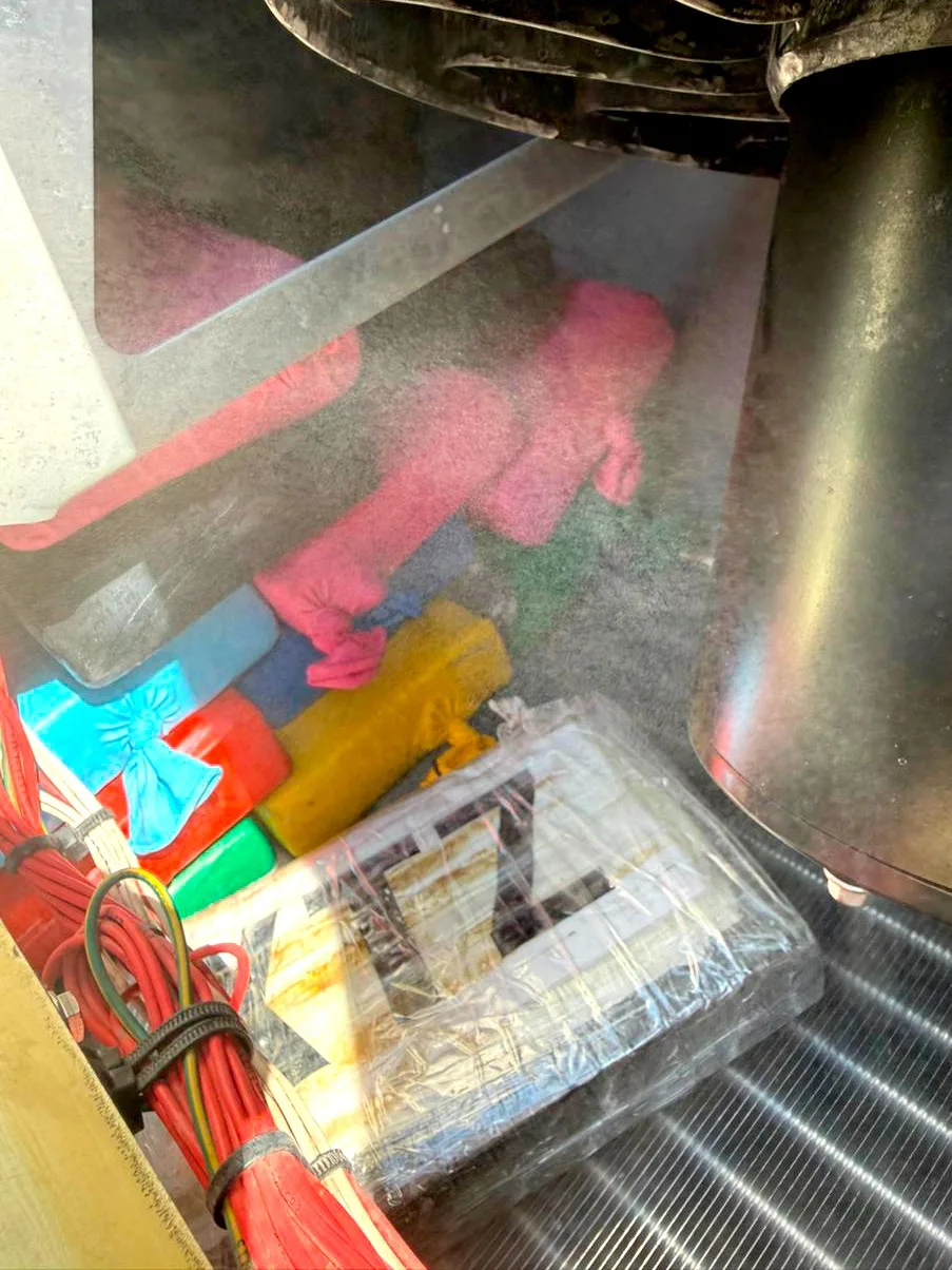 Cocaína é encontrada escondida em carga de frango em porto de SC