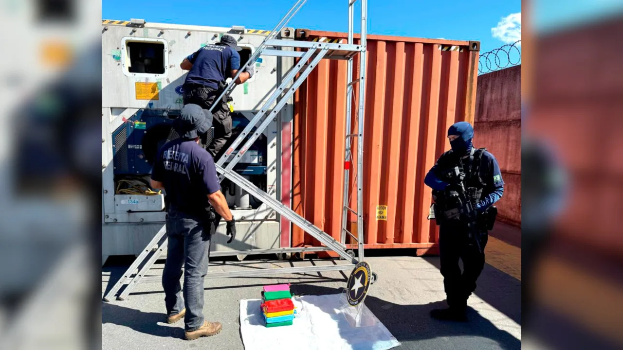 Cocaína é encontrada escondida em carga de frango em porto de SC