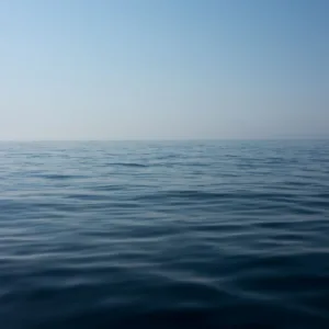 Corpo de homem com mãos amarradas é encontrado no mar perto de porto em SC