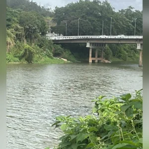 Foto: CBMSC/Reprodução