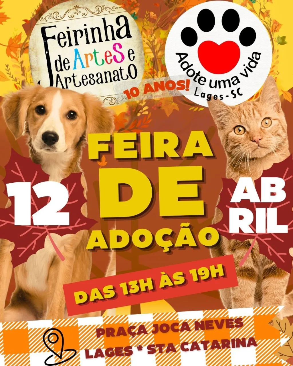 Lages recebe edição especial de 10 anos da Feirinha da Joca