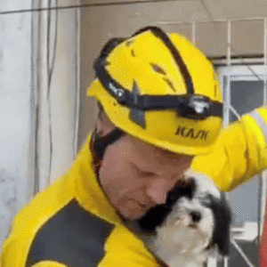 Desespero cachorra de criança autista é resgatada de prédio em Itajaí | Foto:  Itajaí Extra Notícias 