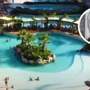 Empresário morre em resort após cair de toboágua; entenda | Foto: SBT News