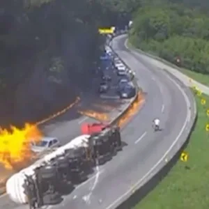Falta de verba trava soluções no Morro dos Cavalos, um ano após incêndio na BR-101 | Foto: SCC SBT/Reprodução