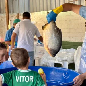 Feira do peixe segue até sexta-feira em Chapecó; saiba onde comprar