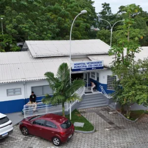 Florianópolis inaugura Hospital Veterinário Cão Orelha nesta quinta (16)