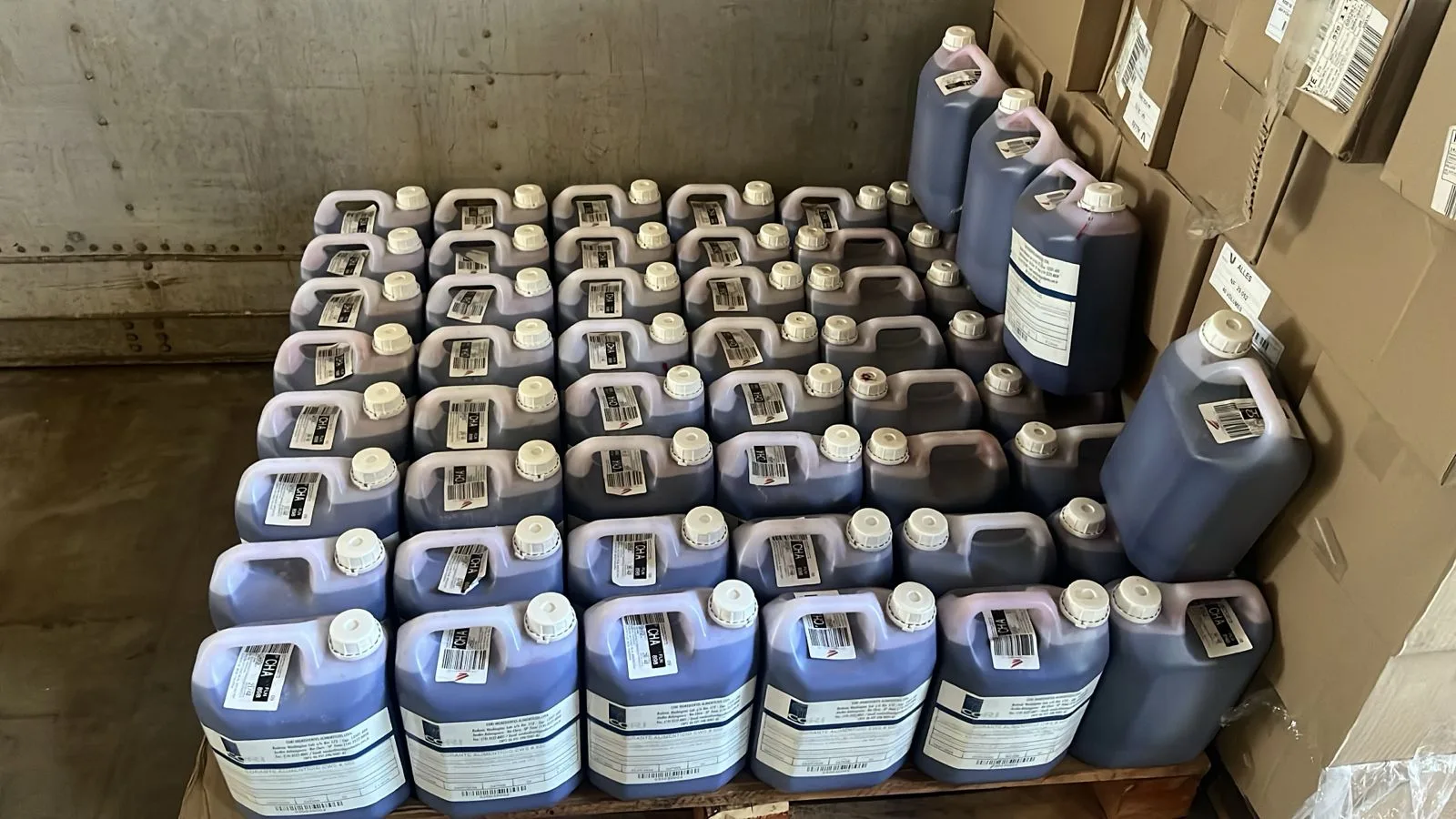 Frigorífico é interditado por más condições e uso de produtos vencidos em SC