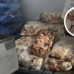 Foto: PCSC/Reprodução