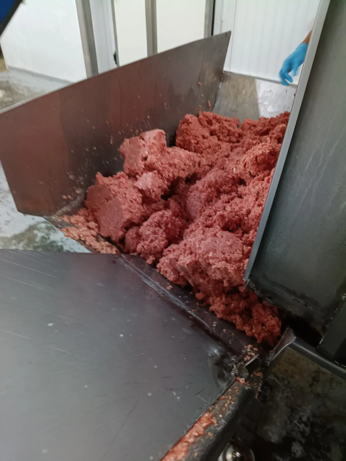 Frigorífico é interditado por más condições e uso de produtos vencidos em SC