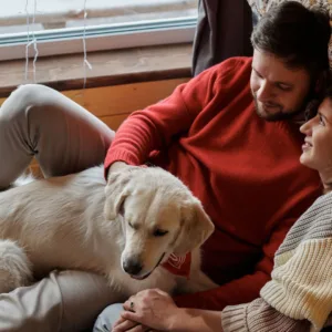 Guarda compartilhada de pets Entenda a nova lei