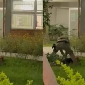 Homem com simulacro de arma é detido na UFSC após fuga de abordagem