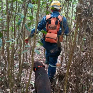 Homem desaparecido há 10 dias é encontrado morto em Nova Veneza