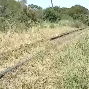 Homem morre ao ser atingido por último vagão de trem