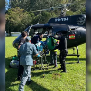 Homem sofre parada cardíaca após ataque de abelhas em SC