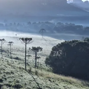 Serra Catarinense registra frio e geada neste domingo