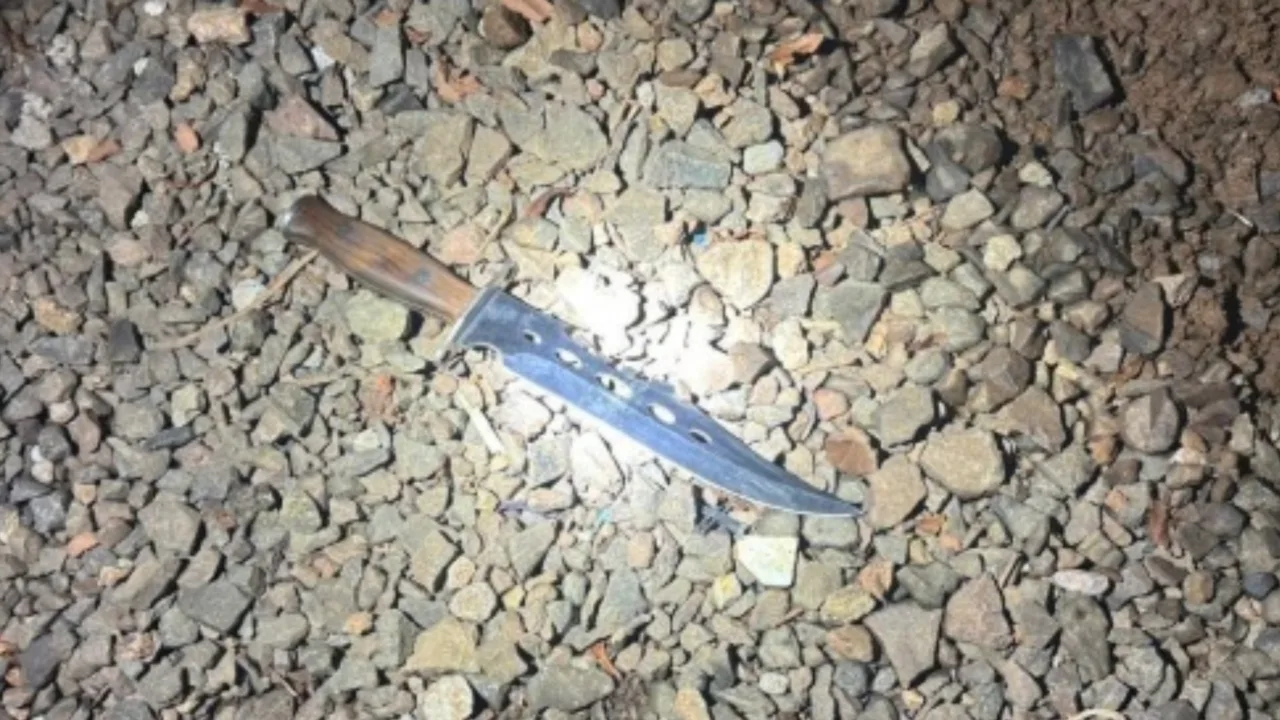 Irmãos são esfaqueados em ataque dentro de casa em SC