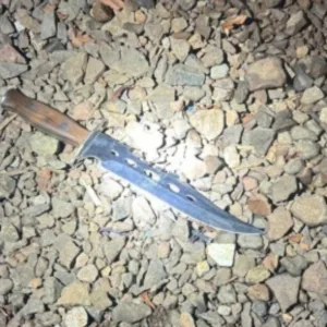 Irmãos são esfaqueados em ataque dentro de casa em SC