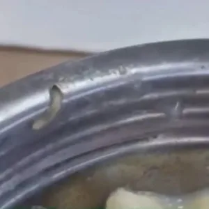 Larvas em comida expõem falhas no RU da UFFS | Foto: reprodução / Redes Sociais 