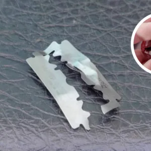 Ministério Público pede investigação sobre possível maus-tratos a animais em Concórdia