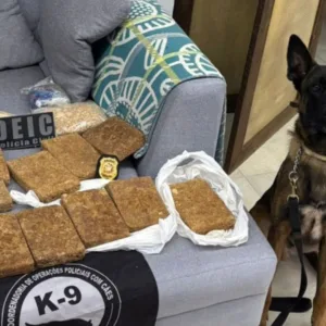 Mafioso russo é preso por tráfico em mansão de luxo em Jurerê