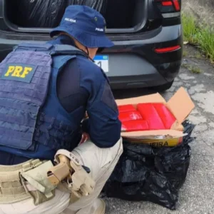 Mais de 110 kg de maconha são apreendidos em carro na BR-101 | Foto: PRF | Reprodução