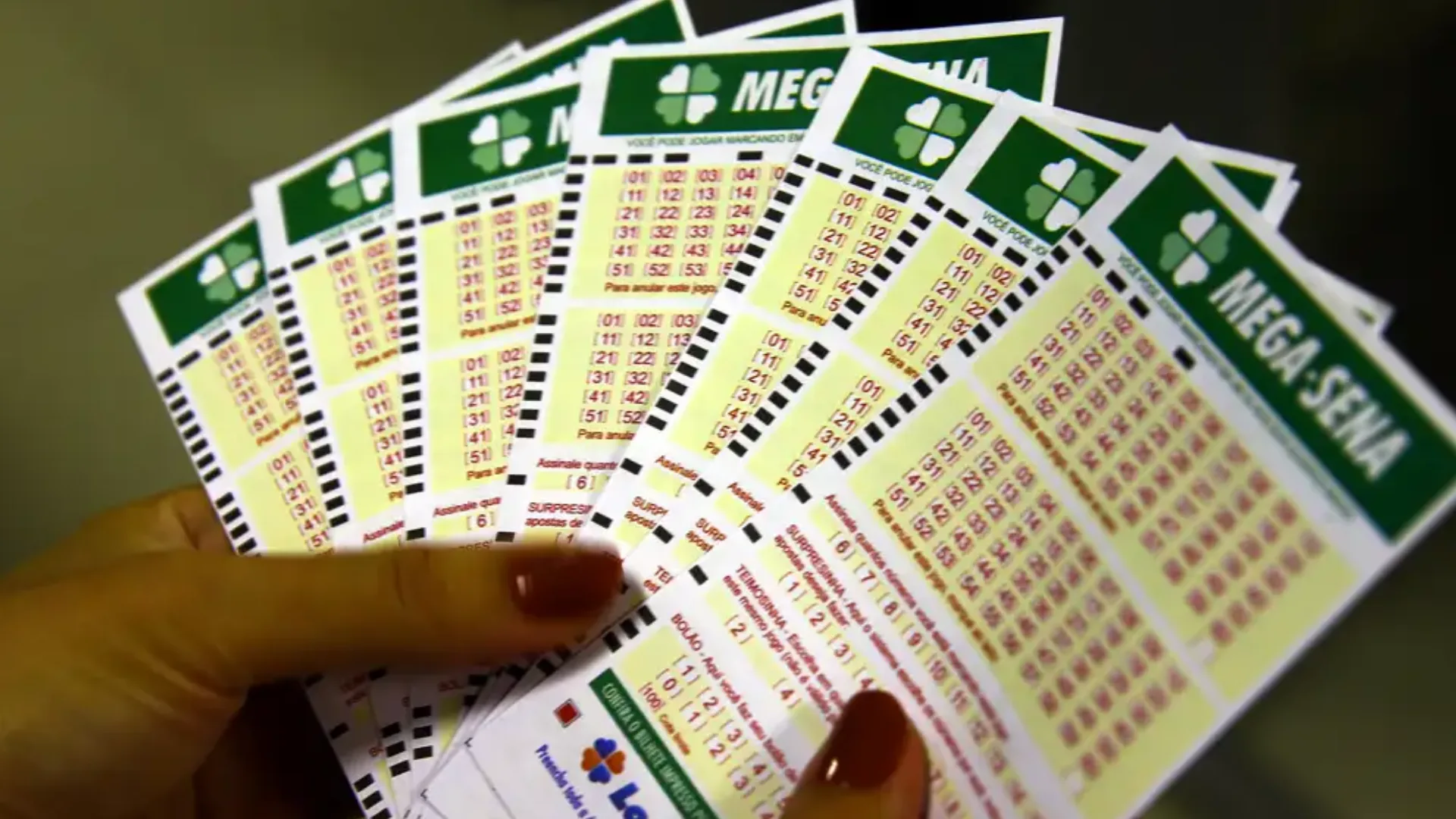 Sorteio terá transmissão ao vivo no YouTube e no Facebook