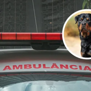 Menina de quatro anos morre após ataque de rottweiler em Chapecó