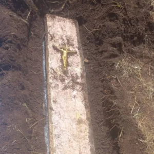 Morador de SC aluga casa e acha ossada humana no quintal | Foto: divulgação/ PMSC 