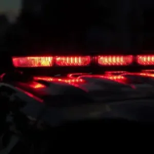 Operação conjunta apreende 10 kg de drogas em Urubici