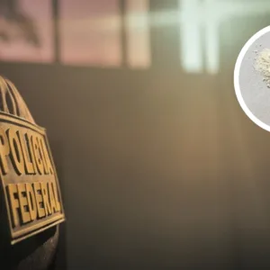 PF deflagra operação contra esquema de importação ilegal de leite em pó da Argentina em SC