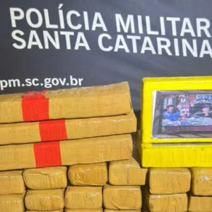 PM apreende 21 kg de drogas após perseguição na BR-282
